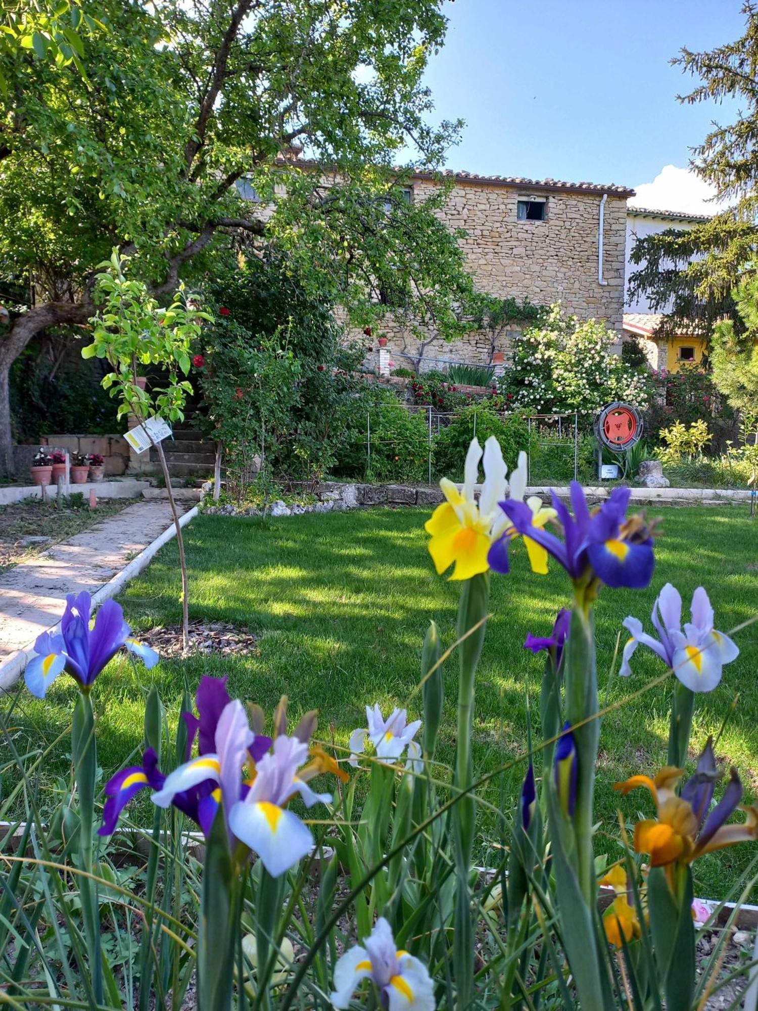 Ferienhaus Casa Albaitar Con Piscina Y Sala De Juegos Azcona